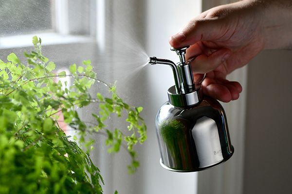 Burgon & Ball adds new houseplant misters to indoor gardening range